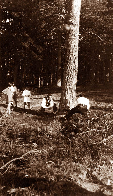 pablo romero tirando un pino 1930
