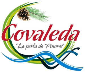 Logotipo Covaleda web