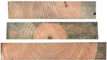 Corte de tres tablones de Pinus radiata (imagen superior) y corte con caras de un machón de Pinus sylvestris, dos de las coníferas más frecuentes en nuestros aserraderos. En la primera se puede apreciar el amplio espaciado de los anillos de crecimiento, un efecto del crecimiento rápido. En cambio, la madera del pino silvestre es mucho más densa.